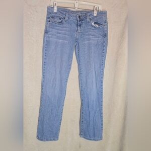 Jasmine Skinny Anchorblue Size 9S Cotton/Spandex Blue Jeans
